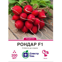 Рондар F1, редис, ранняя, 200 сем. СПЕКТР